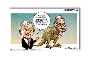 Ecosistema